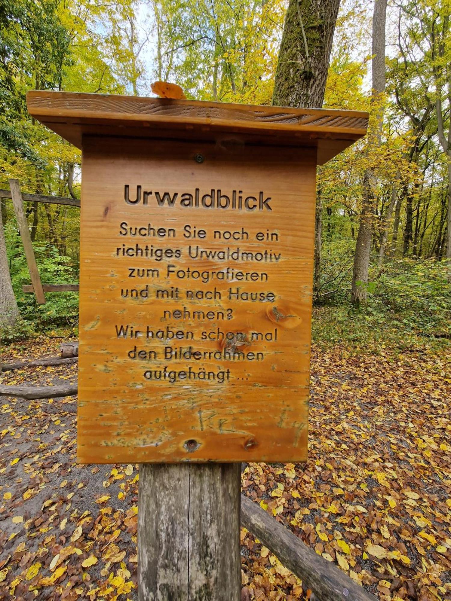 B&B Talstation Horselberg-Hainich Exterior foto